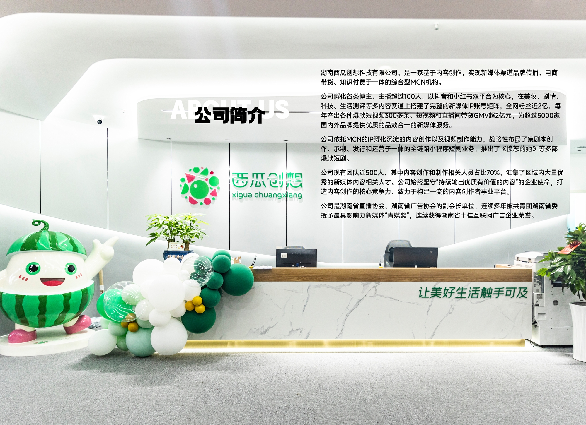 公司简介
