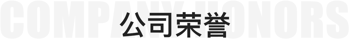 公司荣誉